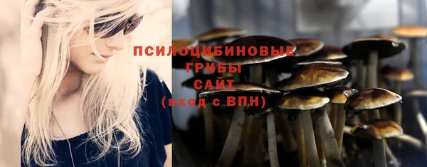 шишки Балабаново