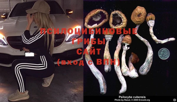 бутират Баксан