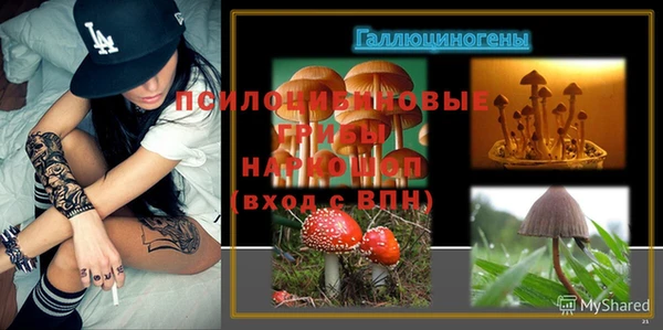 шишки Балабаново