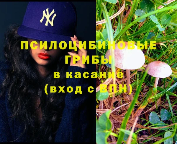 бутират Баксан